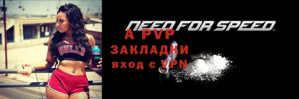 mdpv Бородино
