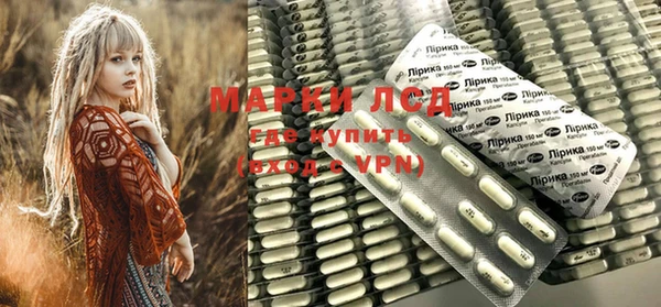 mdpv Бородино