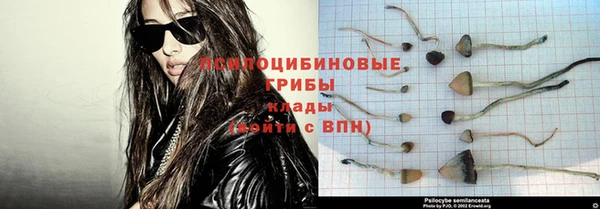 мдпв Бугульма